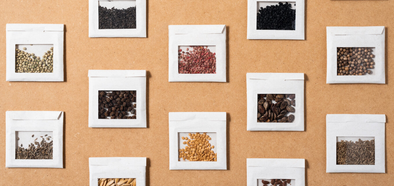 Starting a Seed Library – Mother Earth News - Vimarsana News